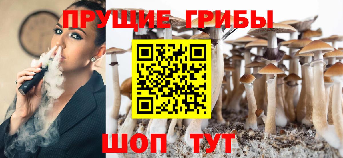 Галлюциногенные грибы Psilocybine cubensis Мытищи